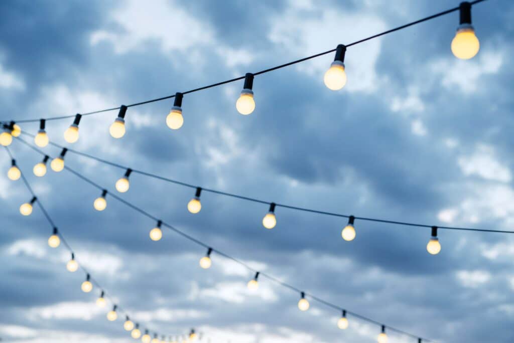 atmospheric-warm-light-bulbs-wrapped-2025-01-08-22-30-24-utc